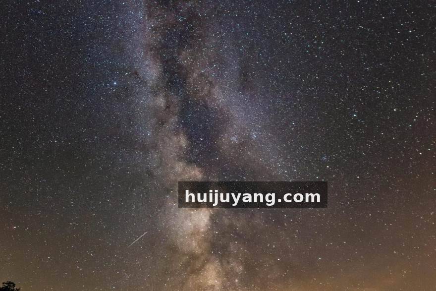 复盘秋季赛前半程：三支队伍的风格转向与赛训取舍观察